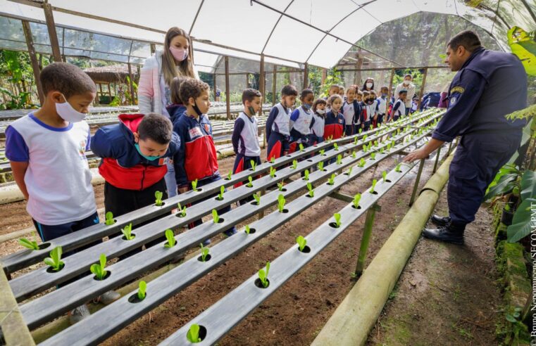 Preservação da Mata Atlântica em Teresópolis: Iniciativas Ambientais no Coração da Serra Fluminense
