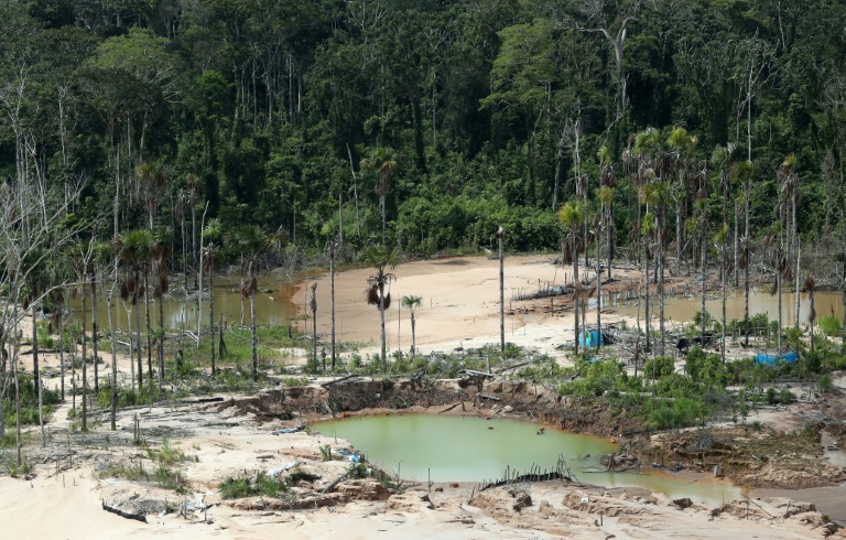 O Impacto das Mudanças Climáticas no Brasil: Como as Regiões estão Sendo Afetadas