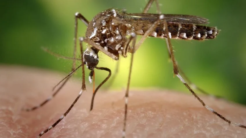 Operação de prevenção ao Aedes aegypti nas casas de veranistas em SJB